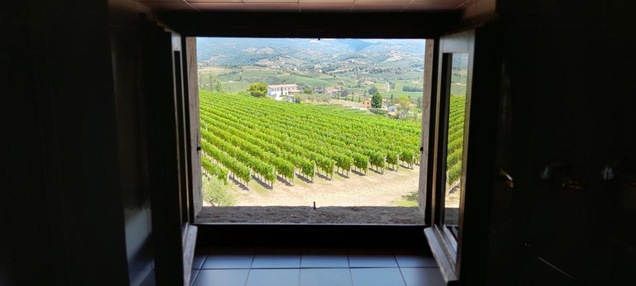 Agriturismo Casa Delle Rose Winery Ruttàrs Kültér fotó