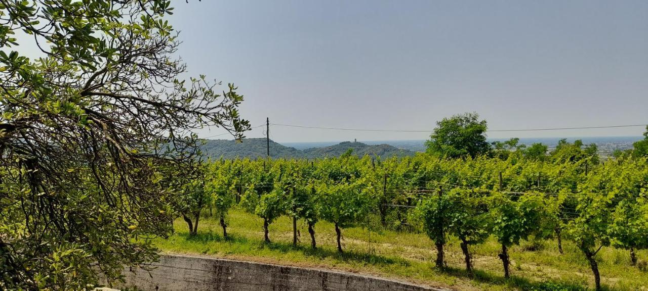 Agriturismo Casa Delle Rose Winery Ruttàrs Kültér fotó