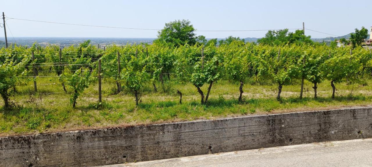 Agriturismo Casa Delle Rose Winery Ruttàrs Kültér fotó