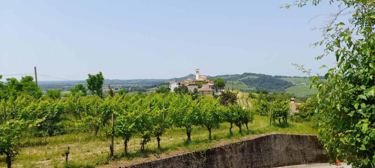 Agriturismo Casa Delle Rose Winery Ruttàrs Kültér fotó