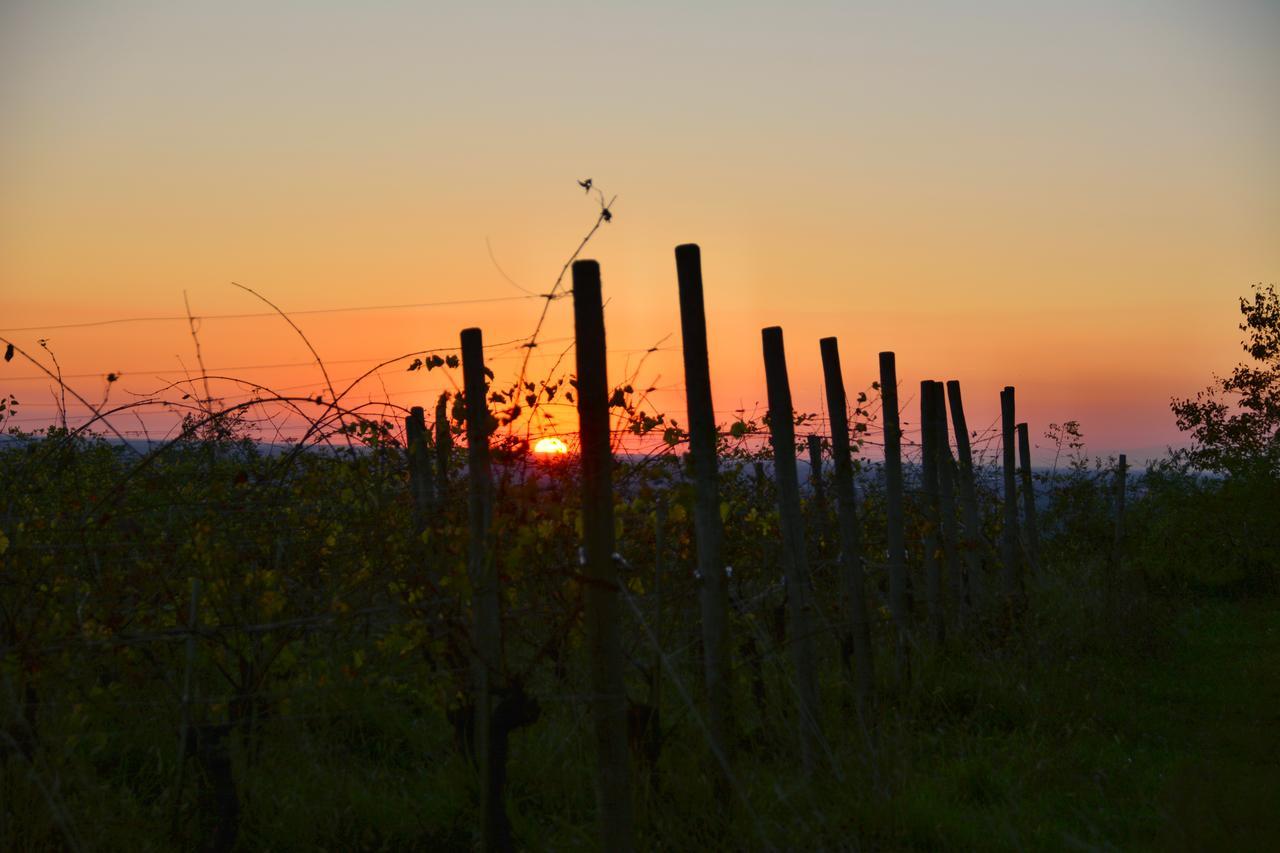 Agriturismo Casa Delle Rose Winery Ruttàrs Kültér fotó