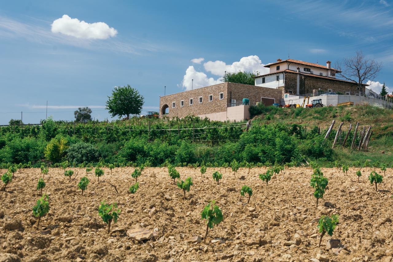 Agriturismo Casa Delle Rose Winery Ruttàrs Kültér fotó