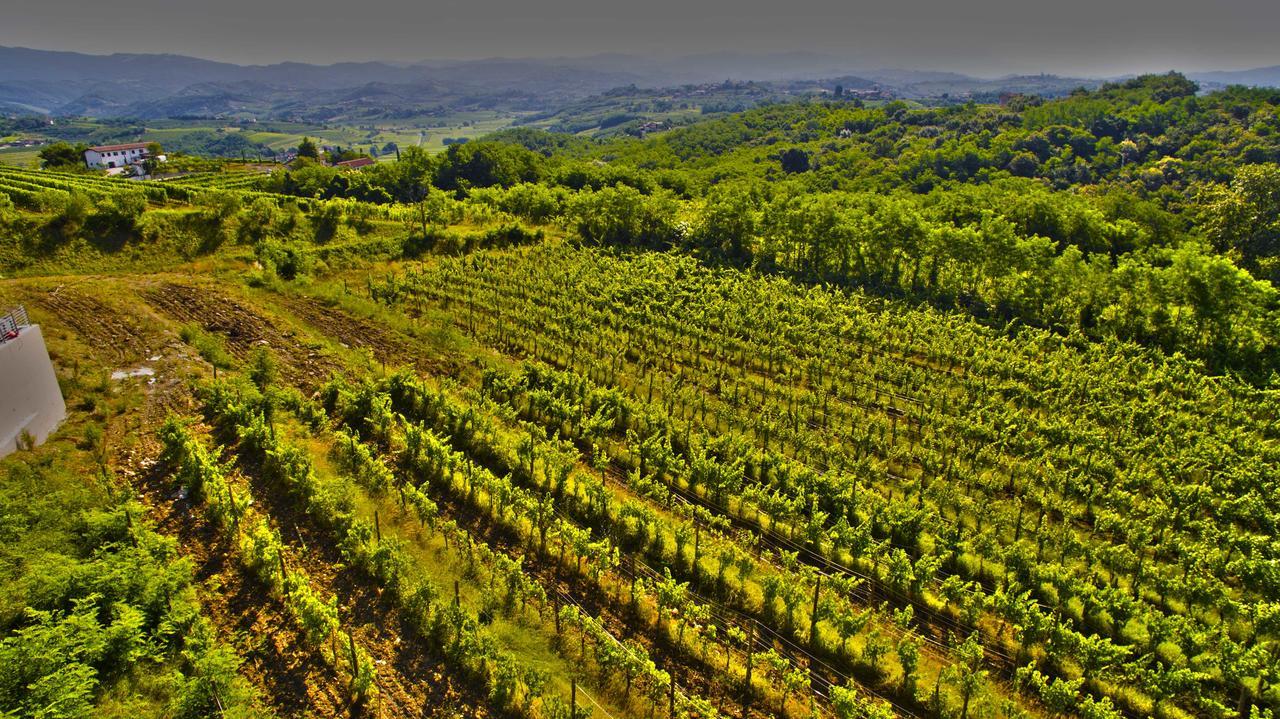 Agriturismo Casa Delle Rose Winery Ruttàrs Kültér fotó
